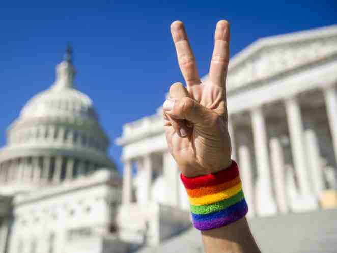 Rainbow Wave: More than 150 LGBTQ candidates win in the midterms