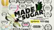 Made of Sugar